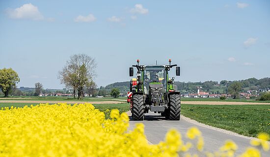 Fendt 500 Gen4 traktor kører på landevej ved rapsmark